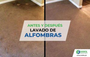 Antes y después del Lavado de alfombras