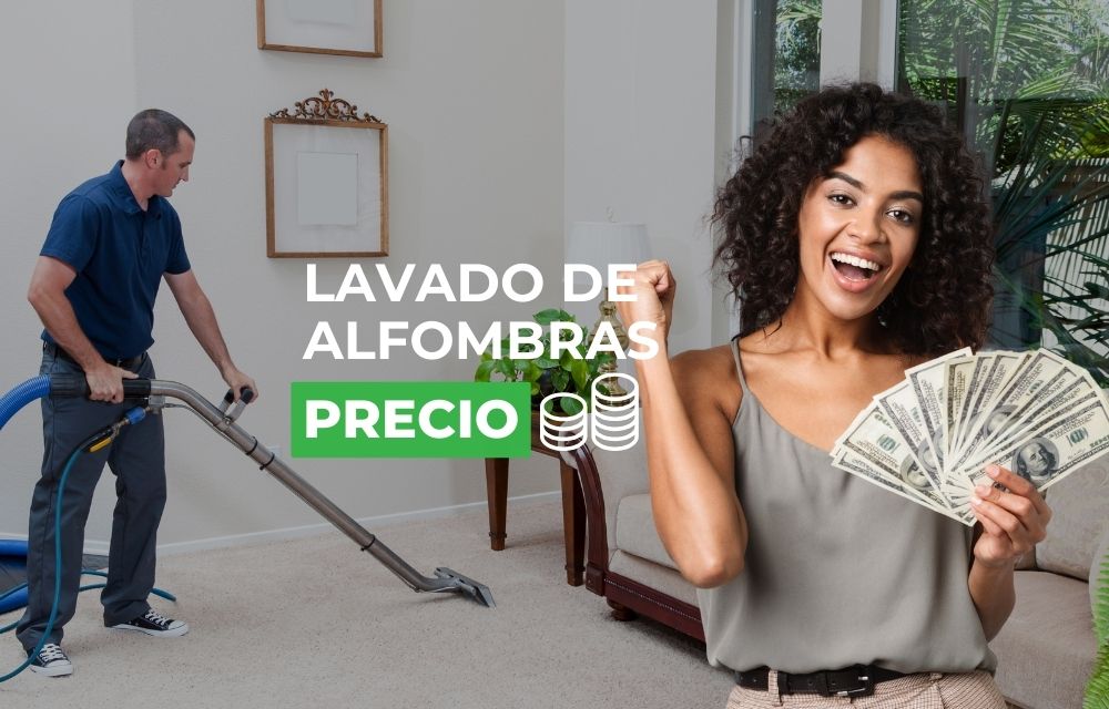 Precio de Lavado de Alfombras